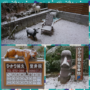 雪の日のワクワクは実は...