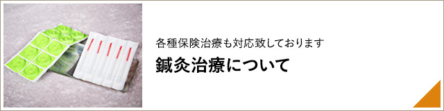 各種保険治療も対応致しております 鍼灸治療について